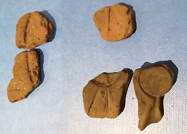 Fragments of moulds.png